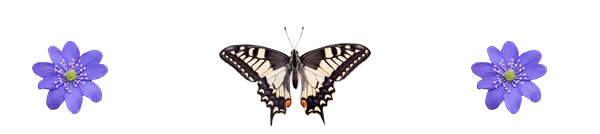 ButterfLeberb.png