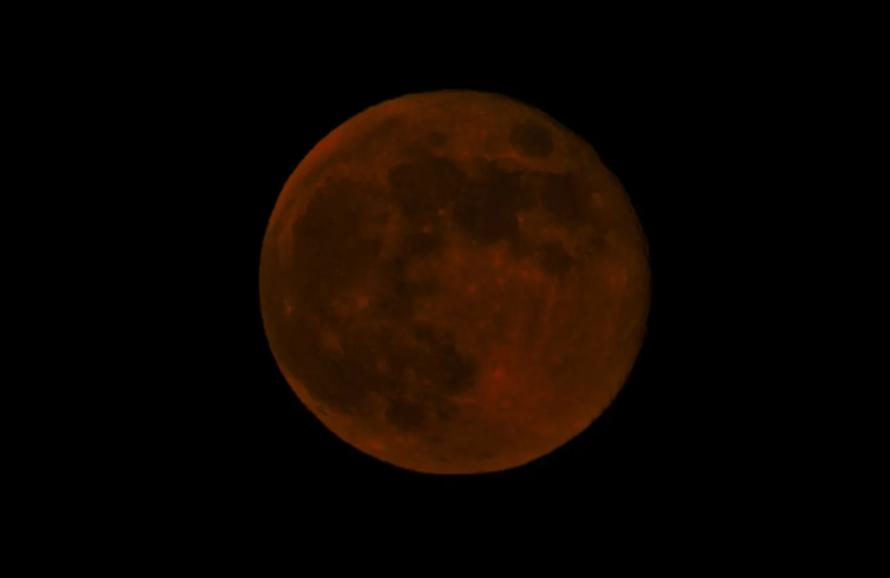 DSC_8367.jpg