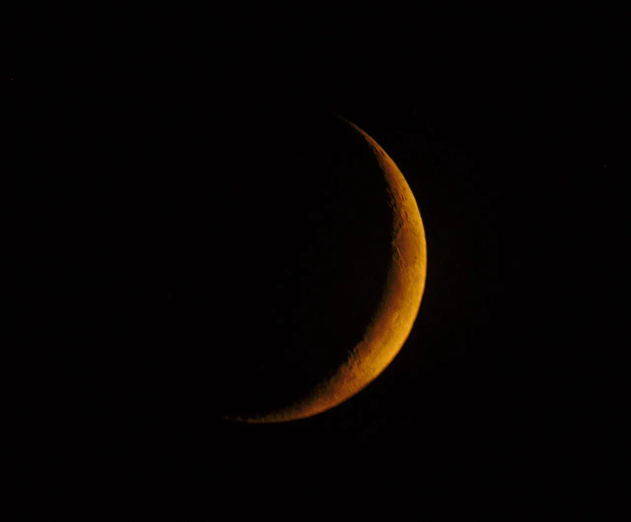 DSC_7523.jpg