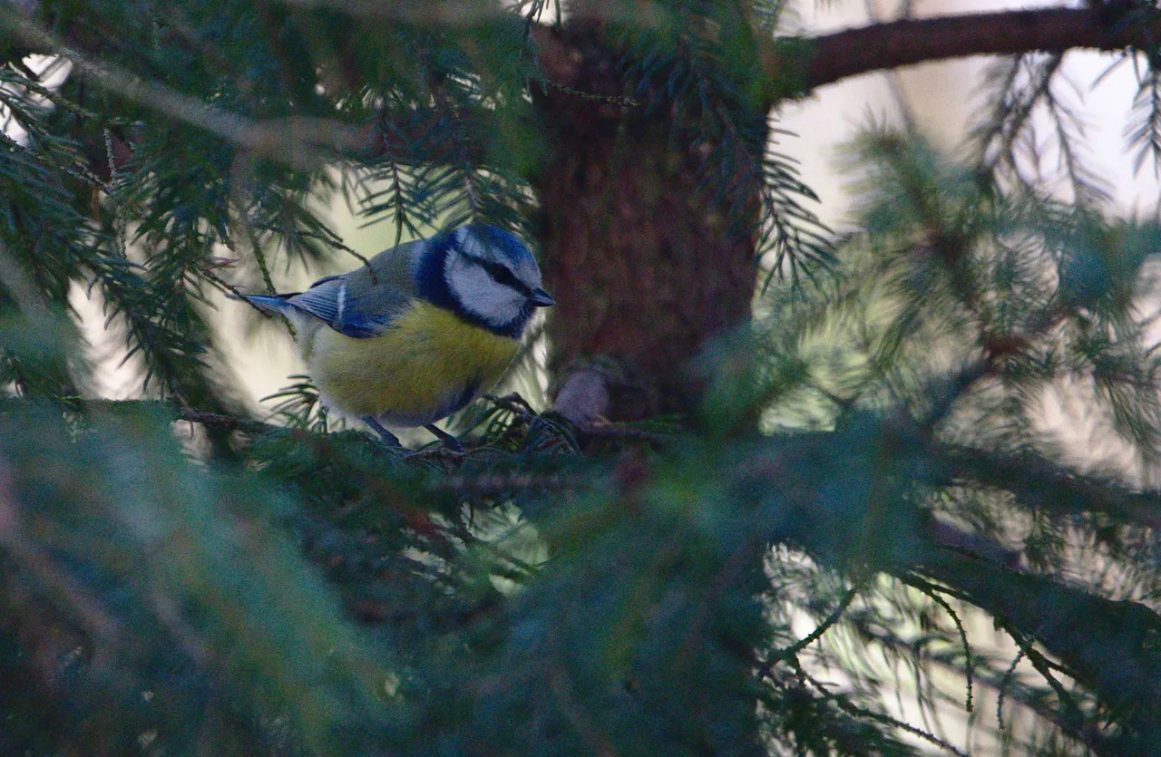 DSC_4324.jpg