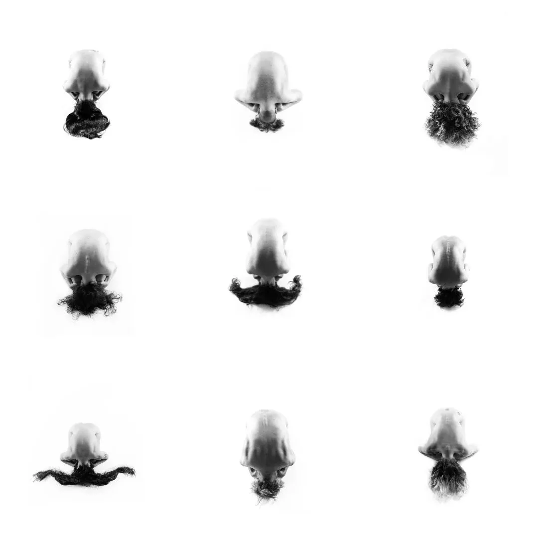 Untitled design.jpg