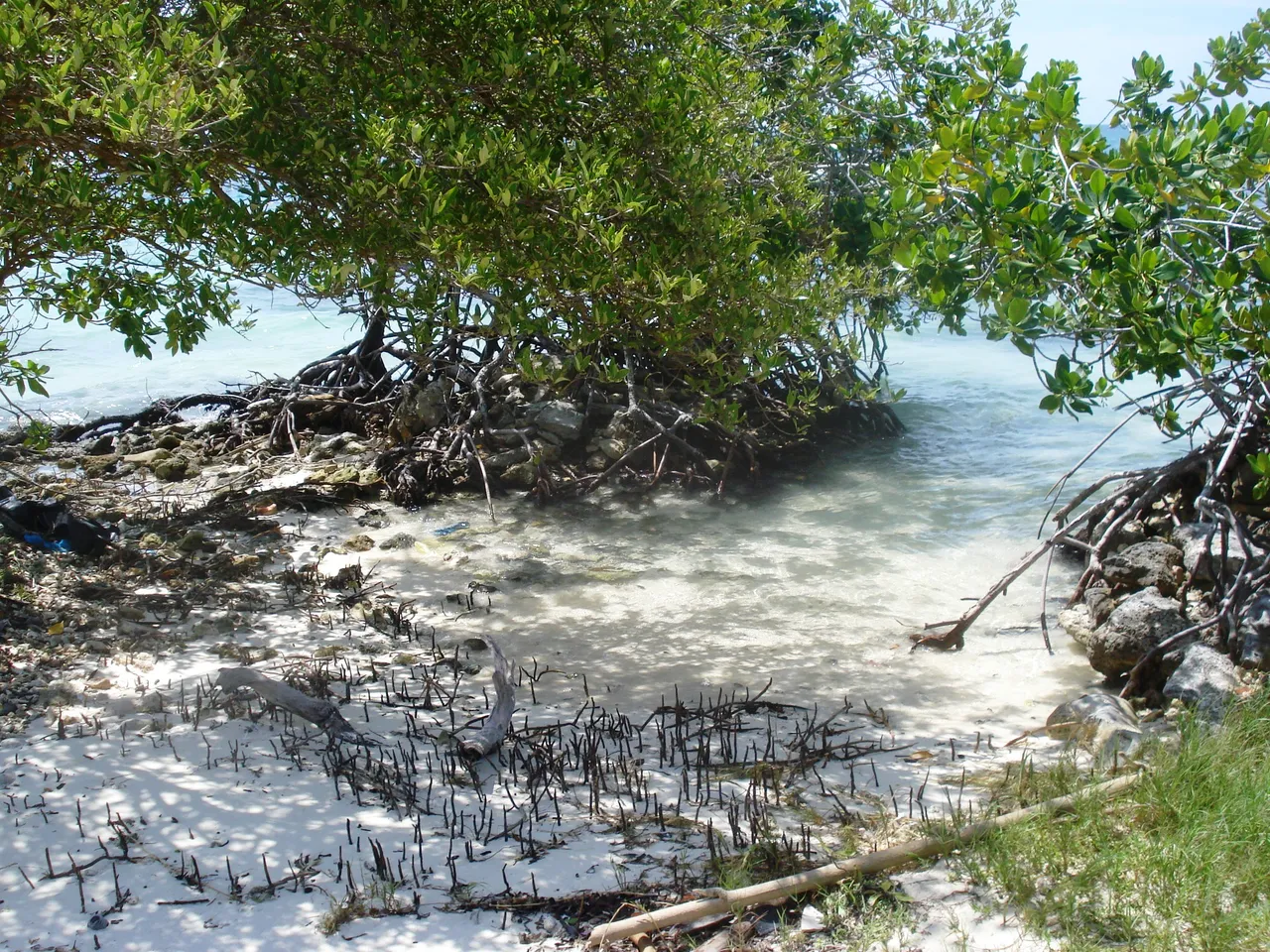 LOS ROQUES 047.jpg