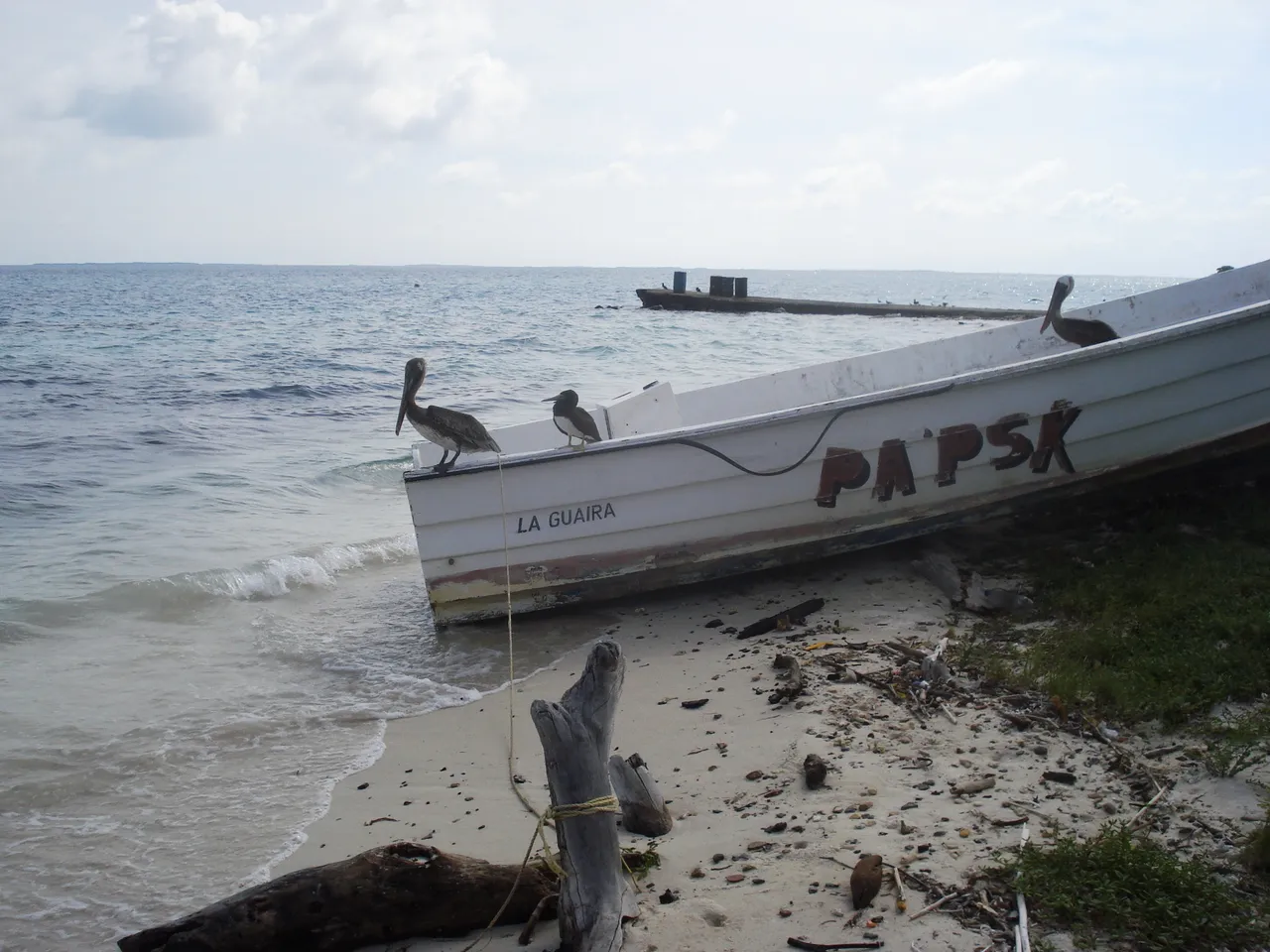 LOS ROQUES 054.jpg