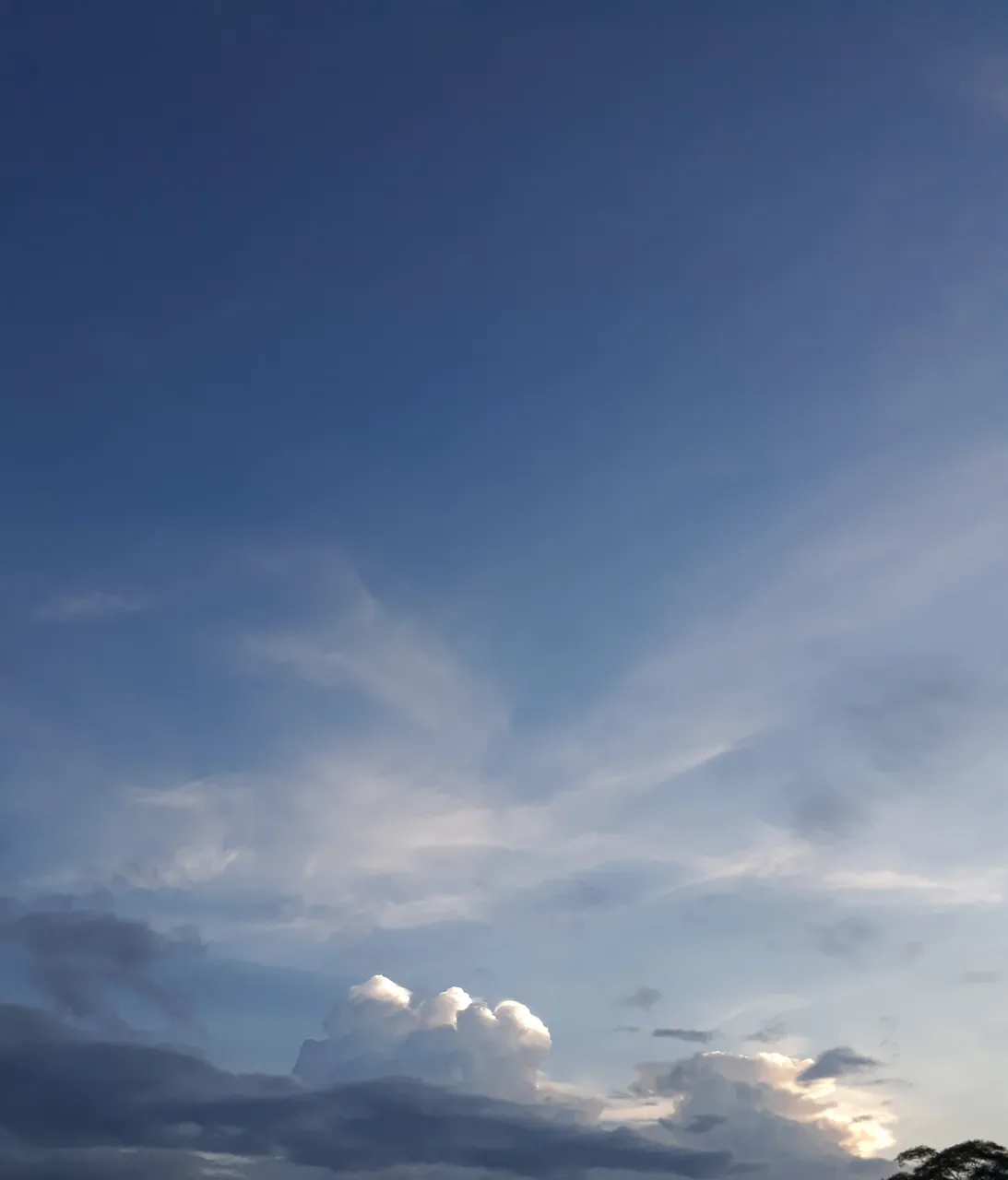 20200805_093959.jpg