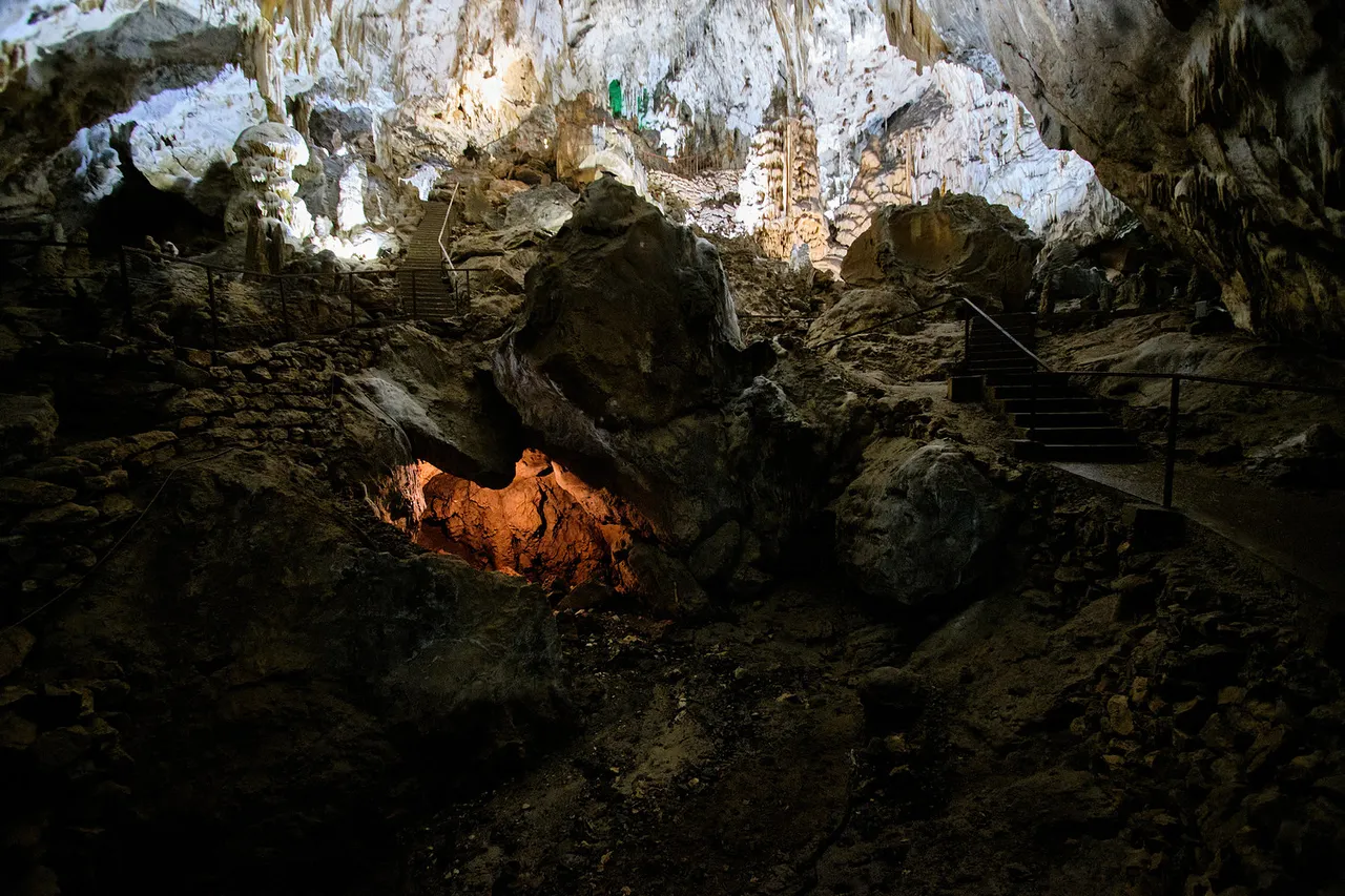DSCF4748COhive.jpg