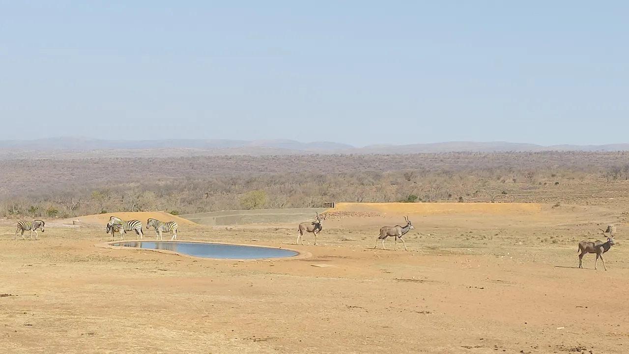 20200927_151244.jpg
