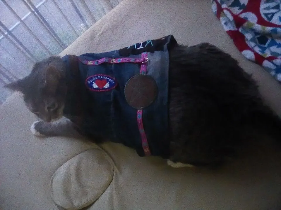 Yuan vest 6.jpg