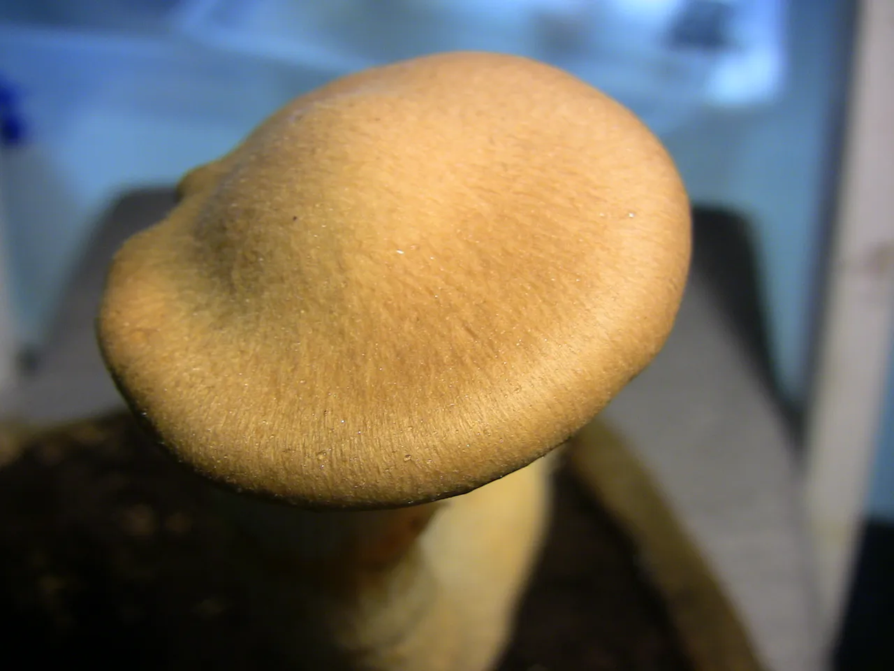 2012.06.04 Spec.JPG