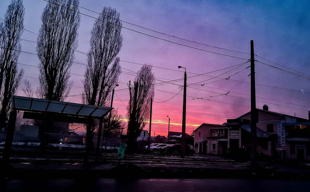 20210222_171636.jpg
