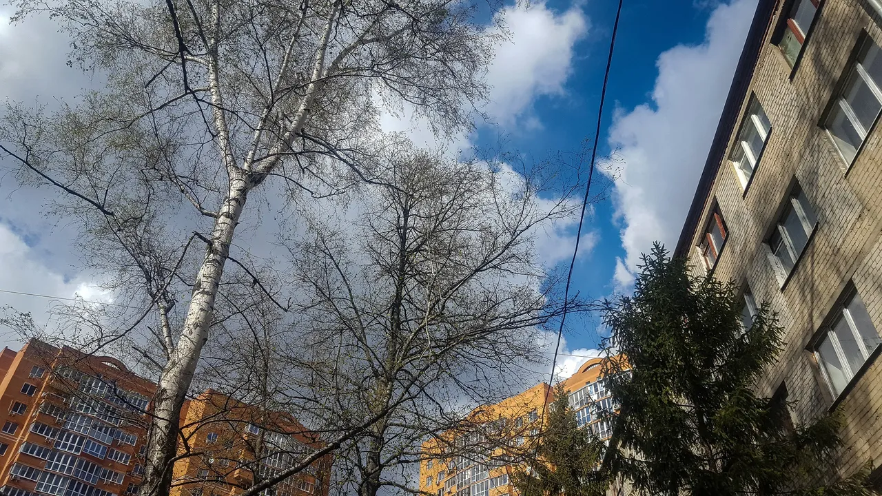 20200421_160752.jpg