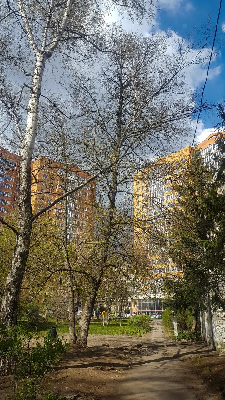 20200421_160757.jpg