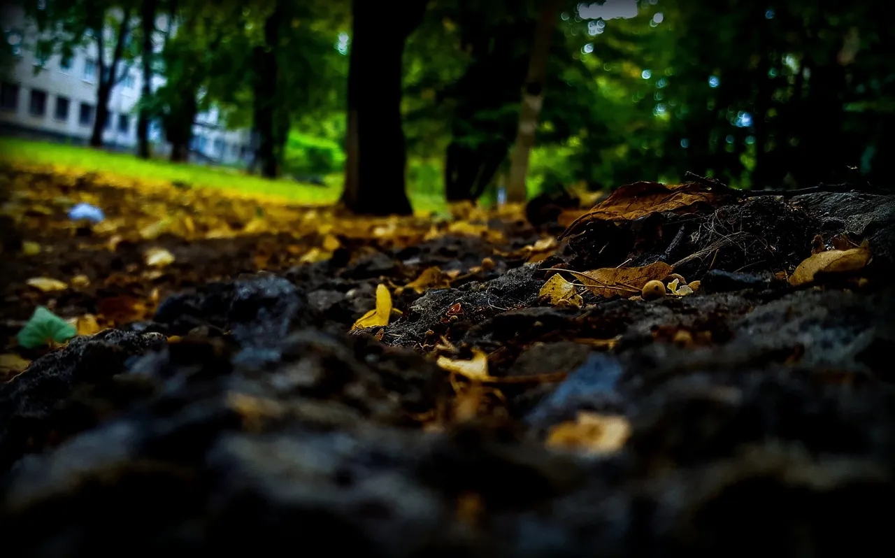 20200905_155126.jpg