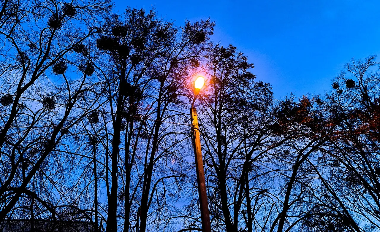 20210206_165844.jpg