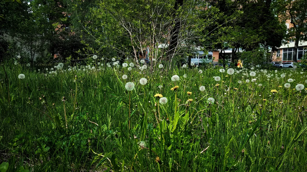 20200507_144602.jpg