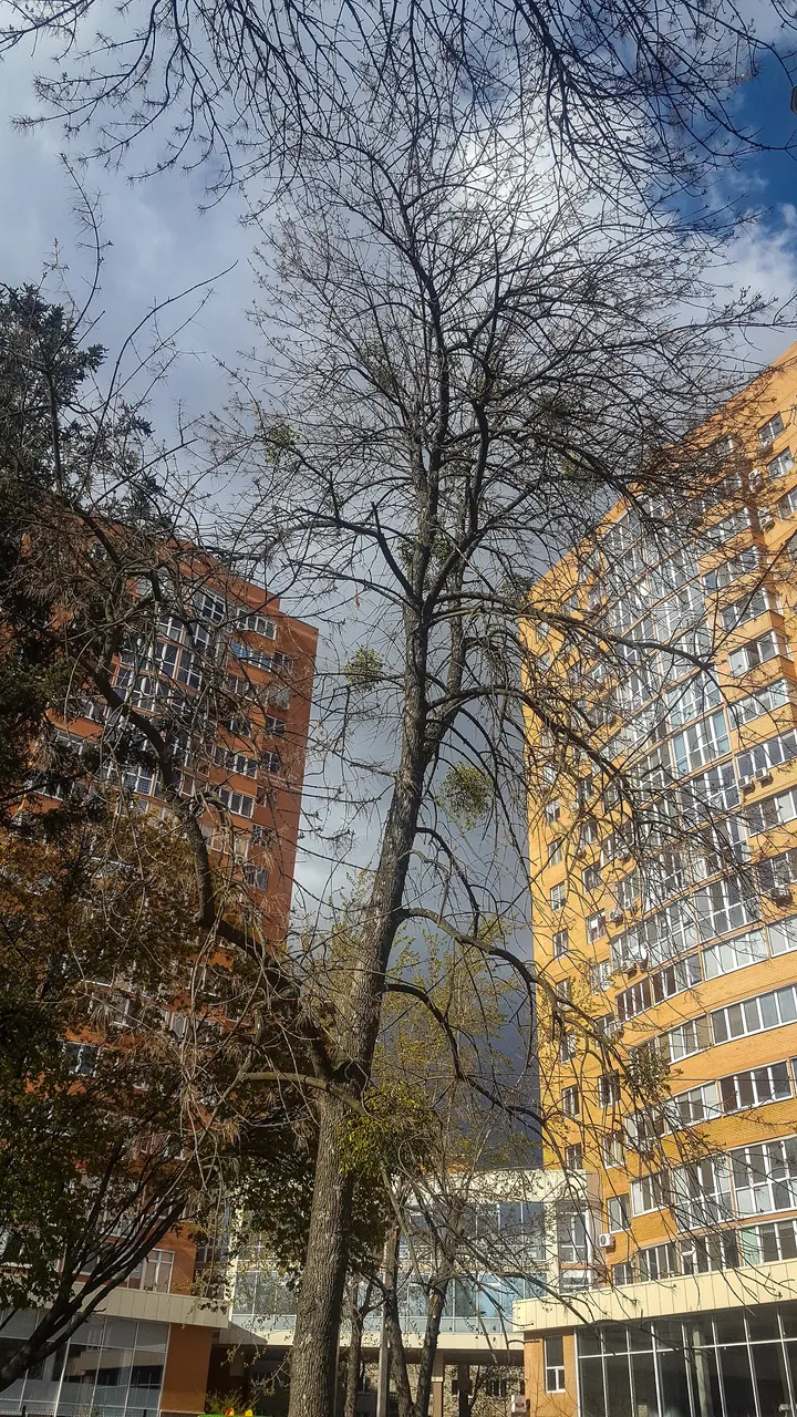 20200421_160846.jpg