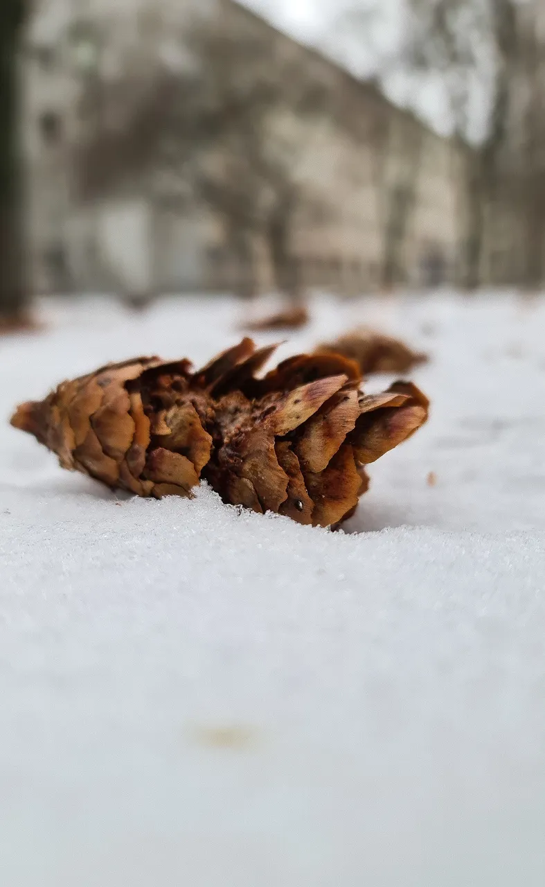 20210225_163718.jpg