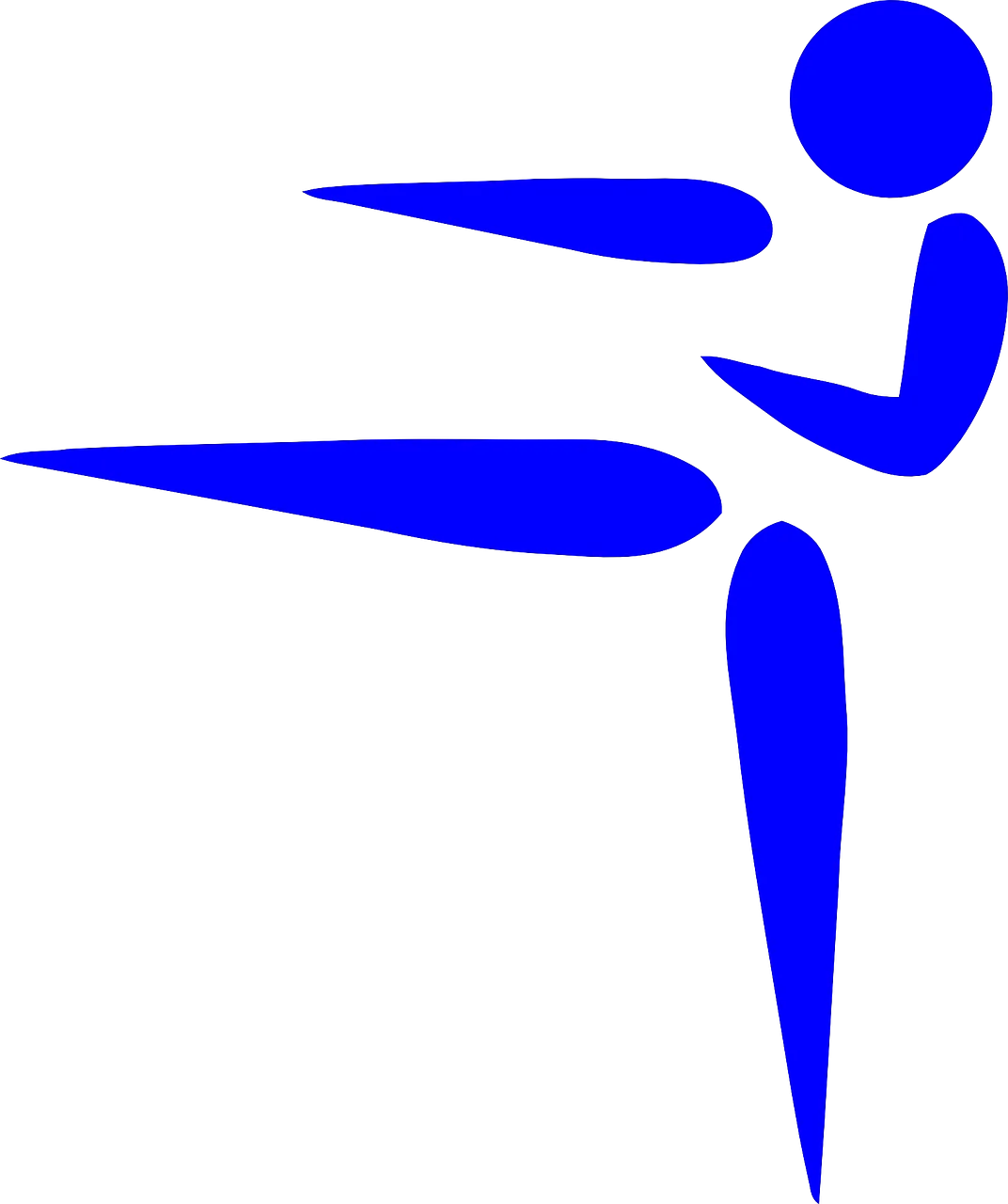 Front kick.png