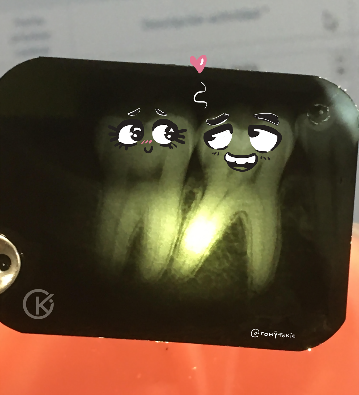 Muelacoqueta2.png