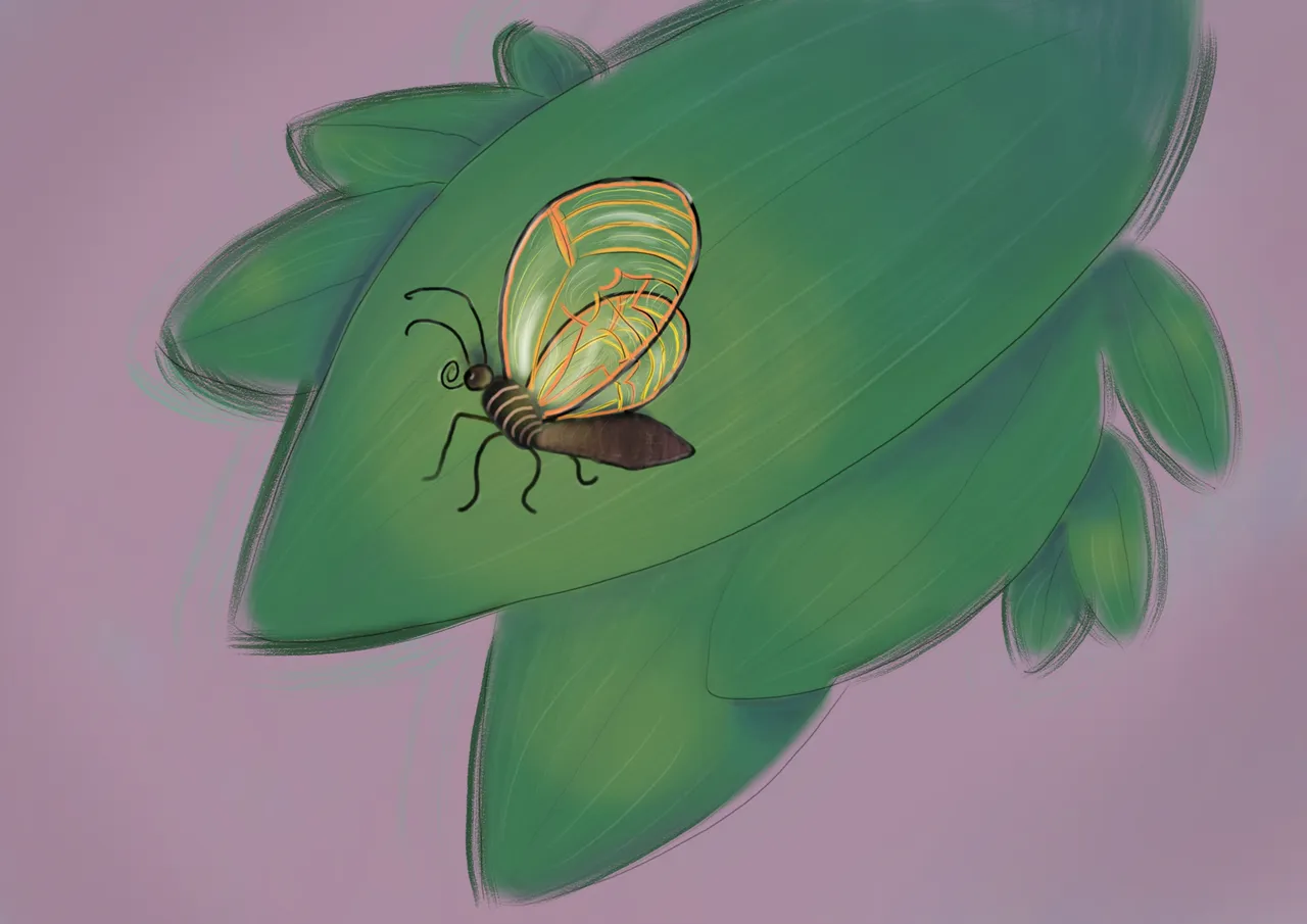 5.10.20 btrfly.png