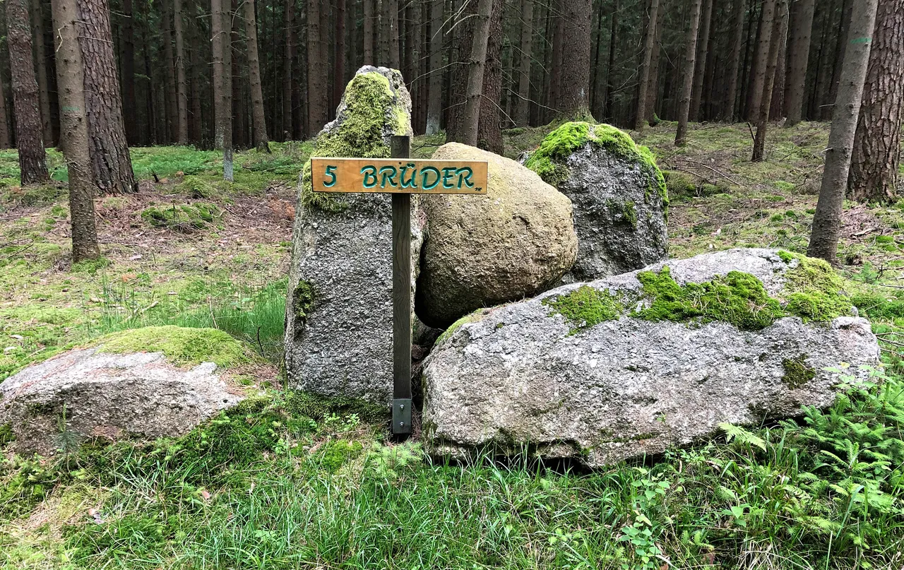 5 brueder.jpg