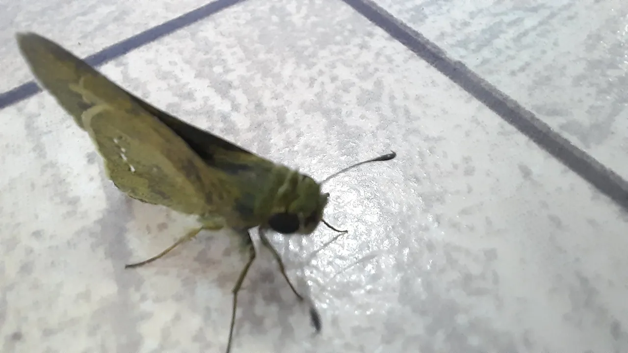 20201007_123502.jpg