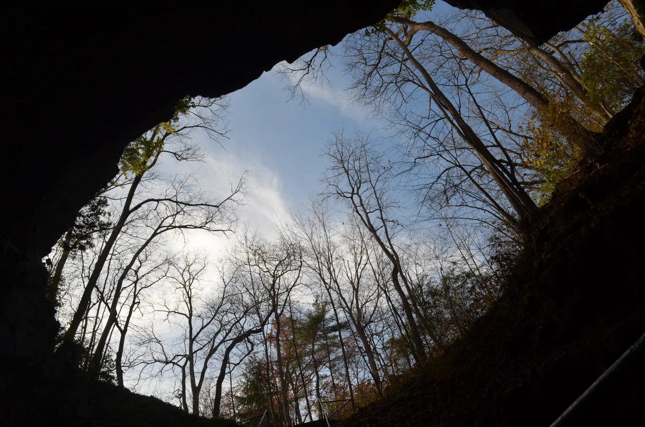 DSC_0022.JPG