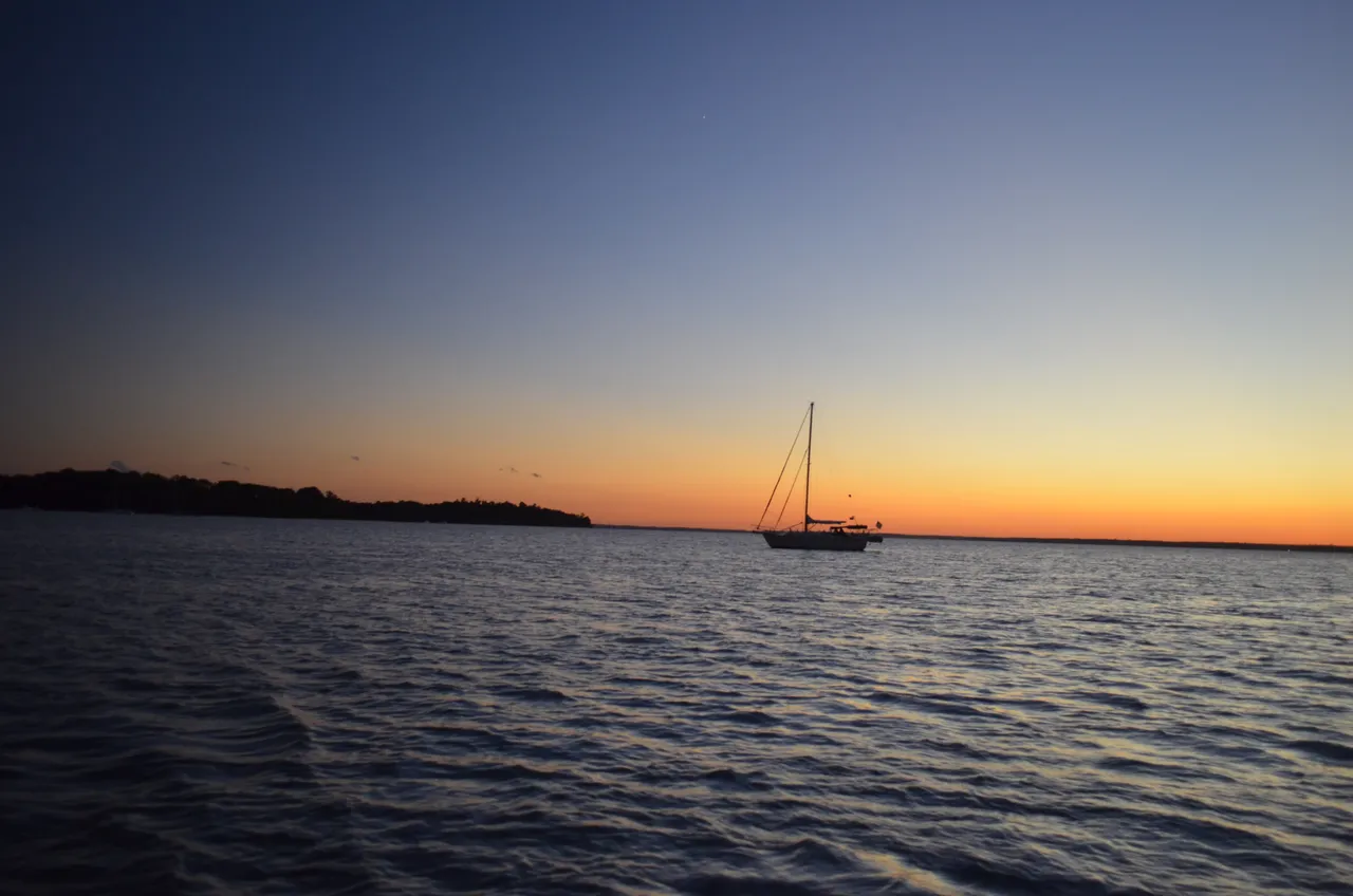 DSC_0708.JPG