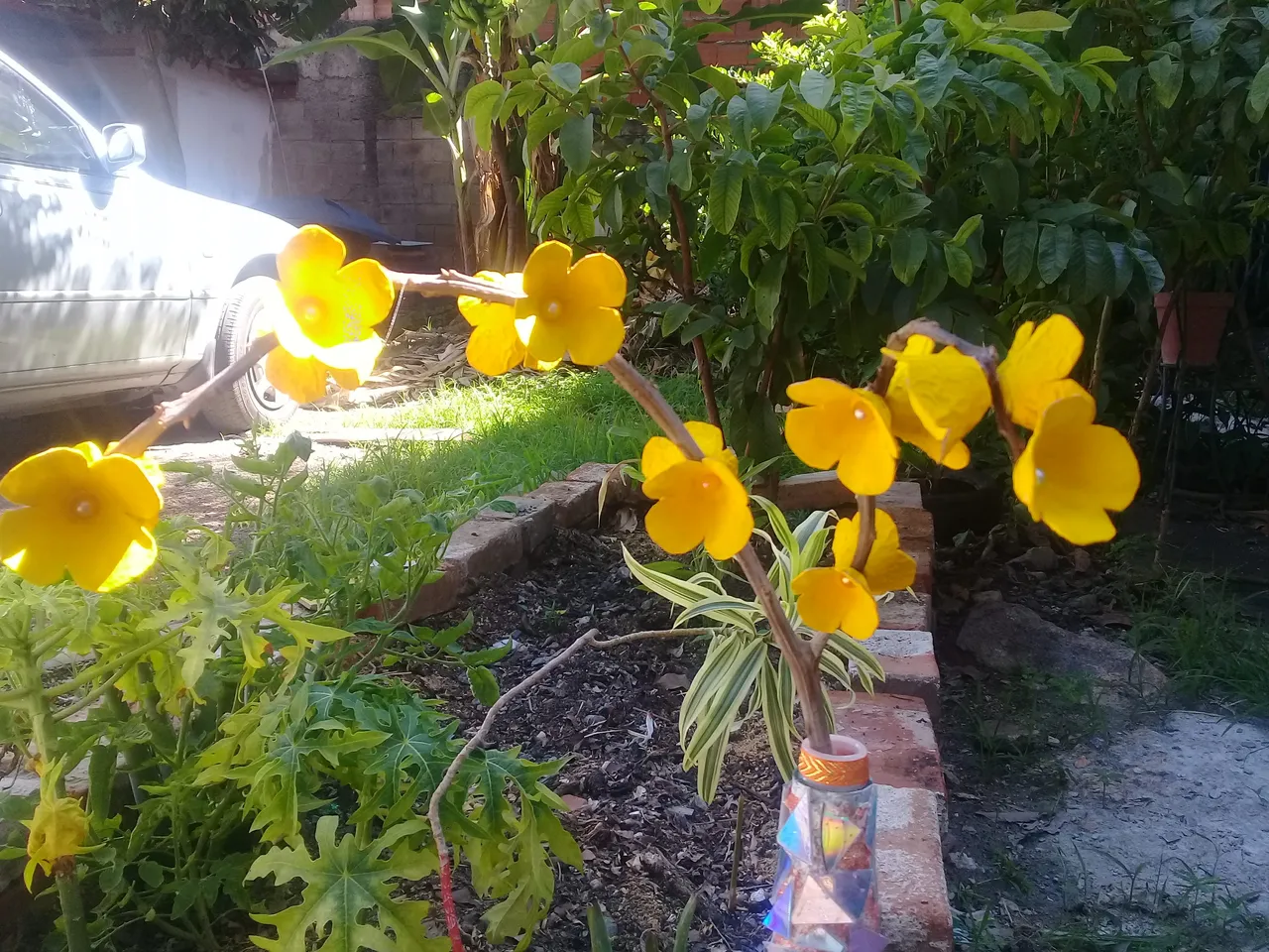 20200814_100404.jpg