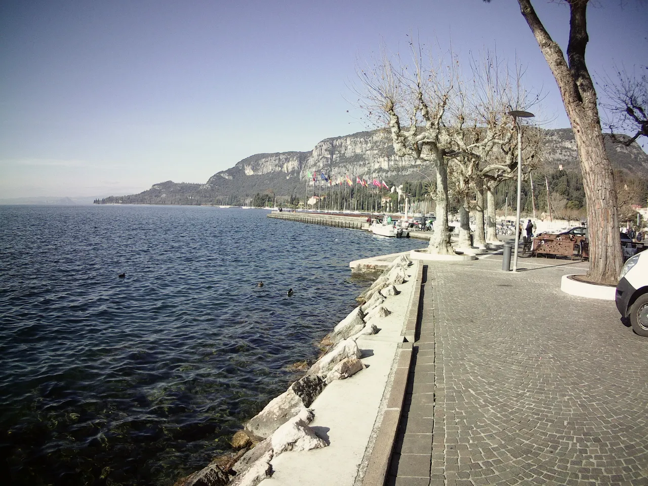 IMG190101021017F.JPG