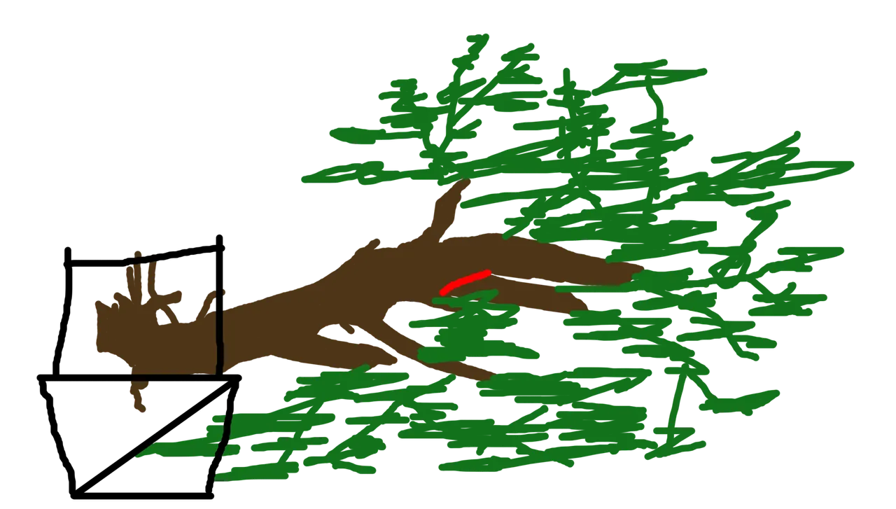 downward.png