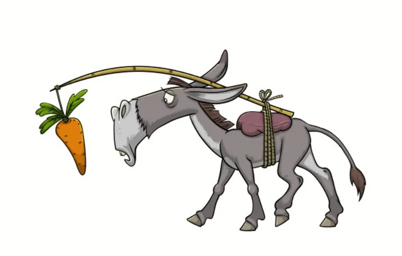 0870Donkey.jpg