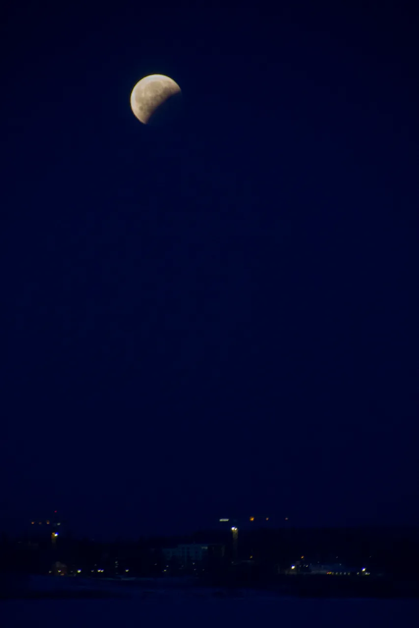 IMG_3958_1.jpg