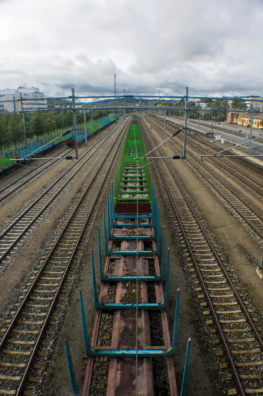 IMG_6953_1.jpg