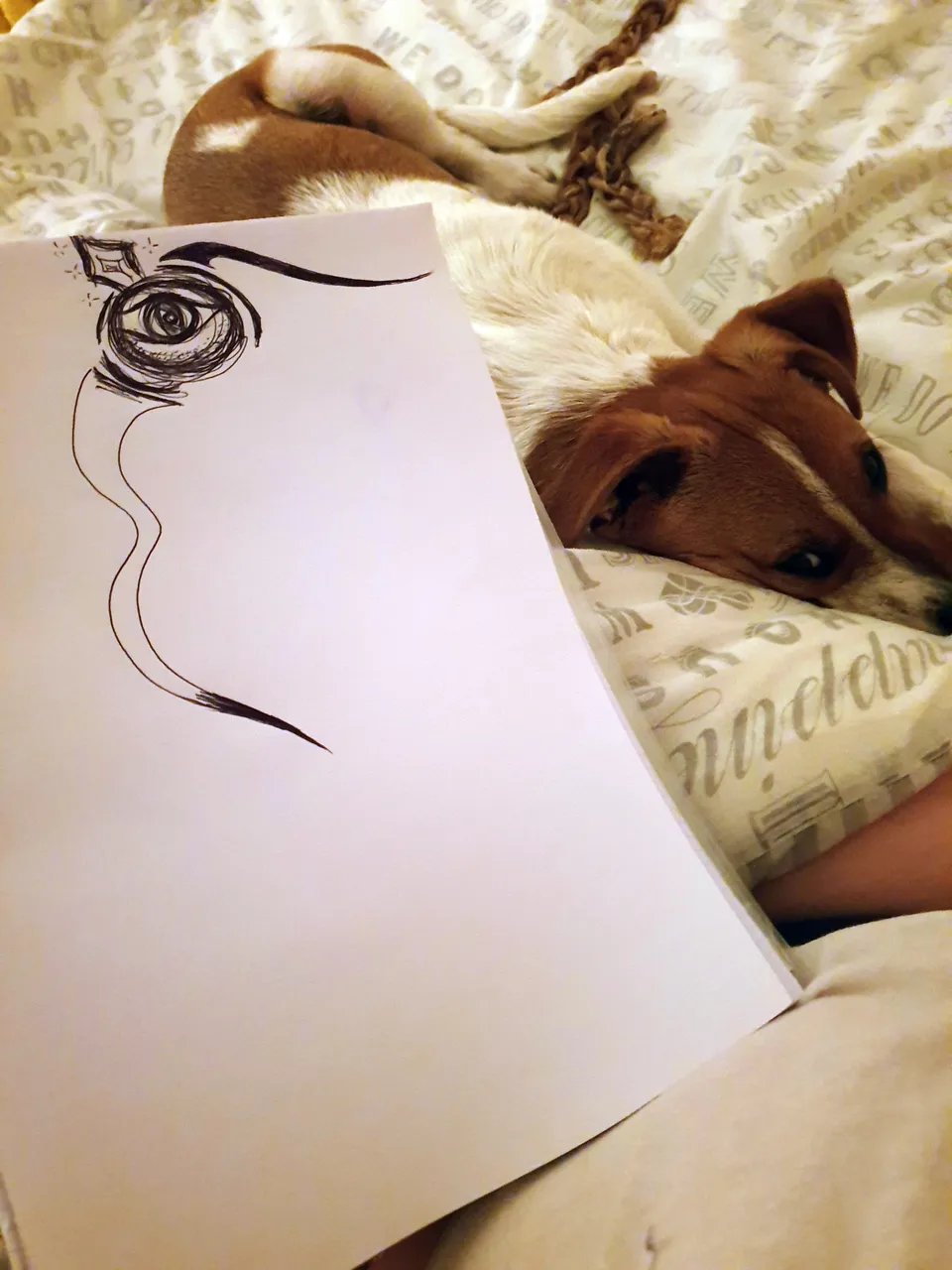 20191007_231047.jpg