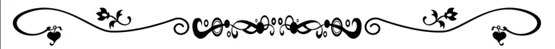 divider2.png