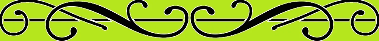 Line_Divider2_V2.jpg