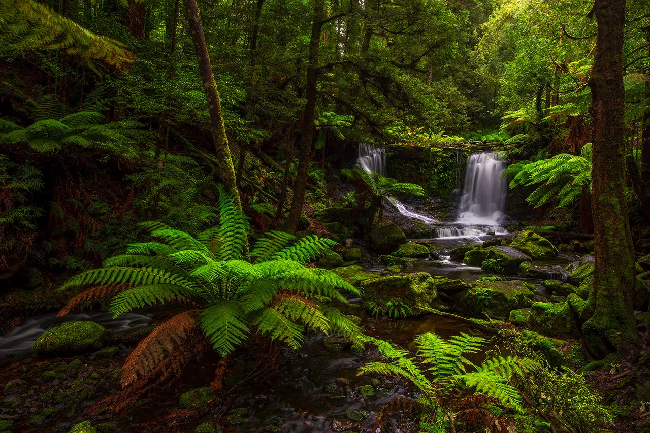 Horseshoe Falls