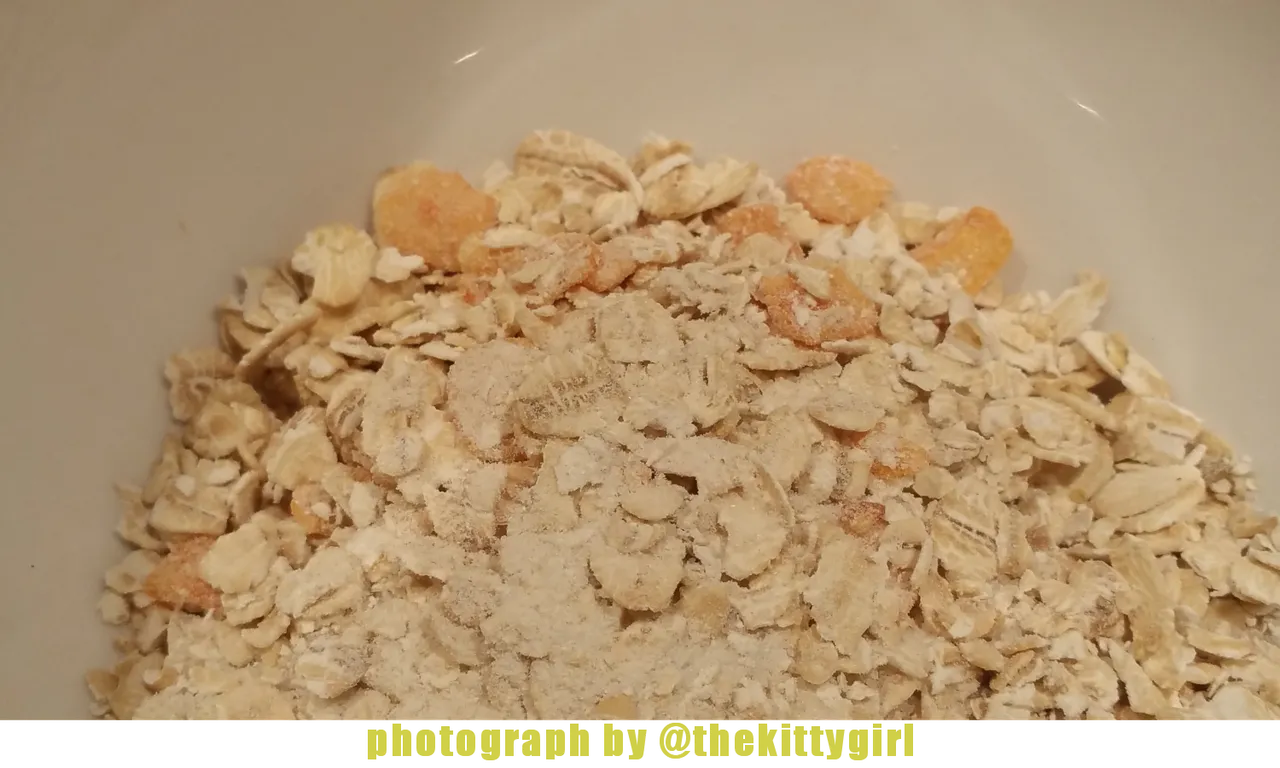 Oatmeal1.png