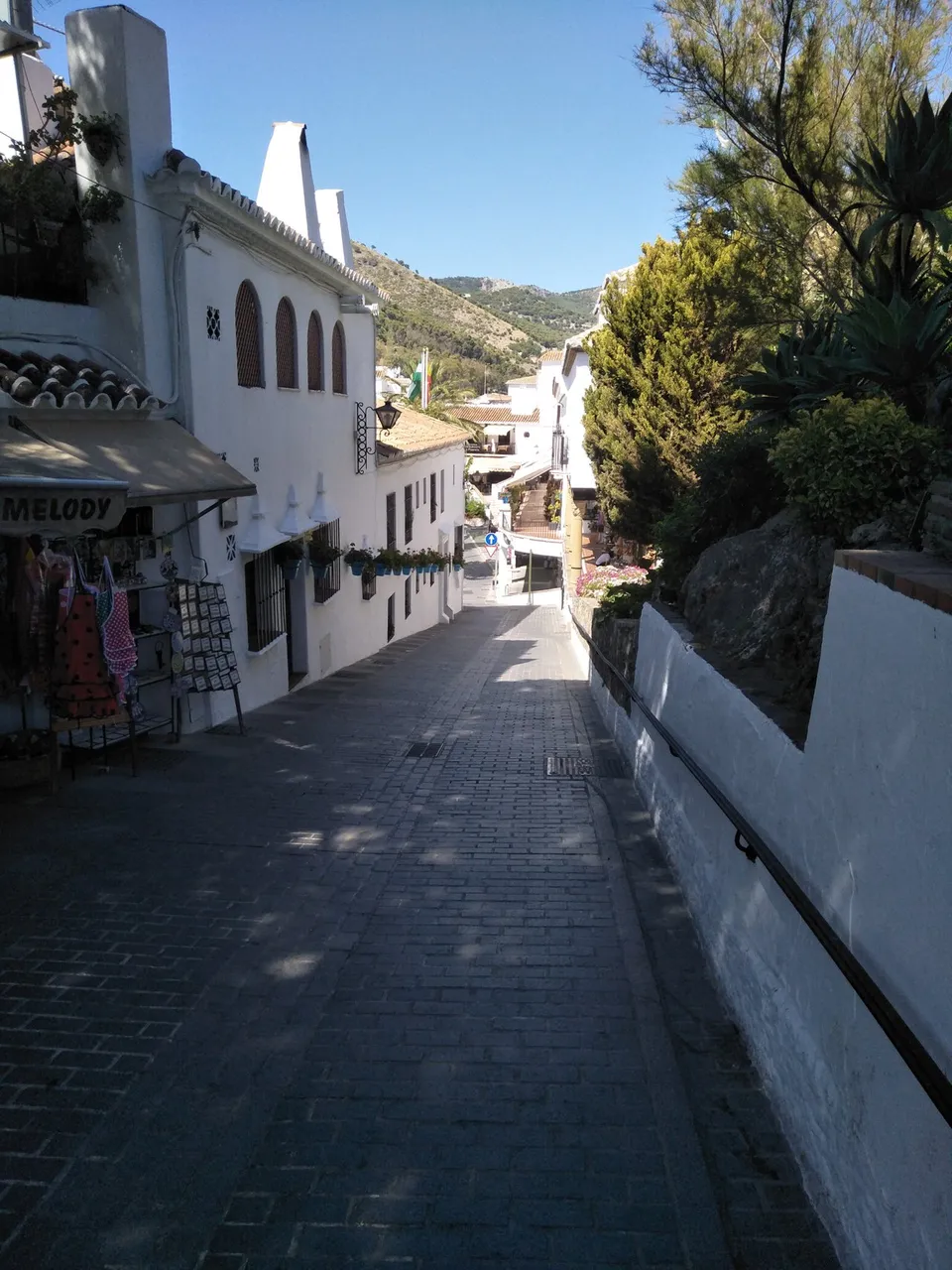 4b.jpg