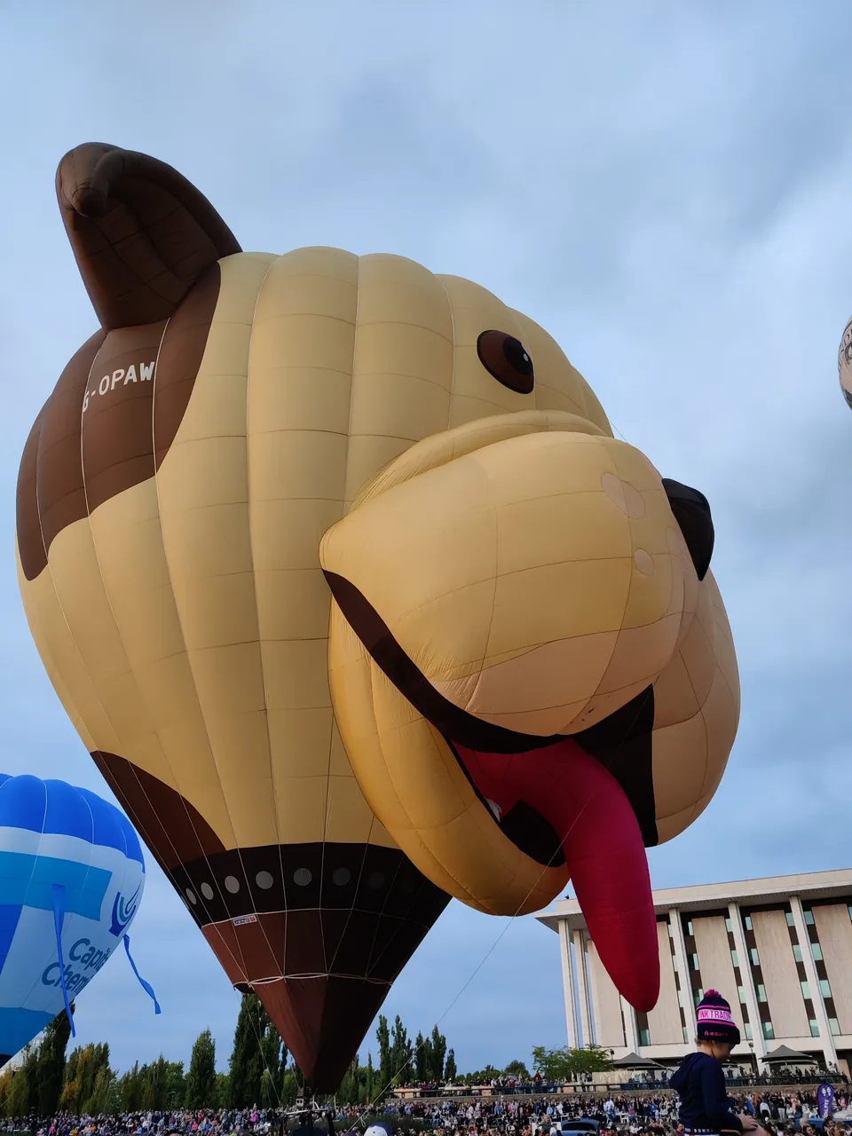 Early Morning Balloons: Canberra, AUSTRALIA.jpg