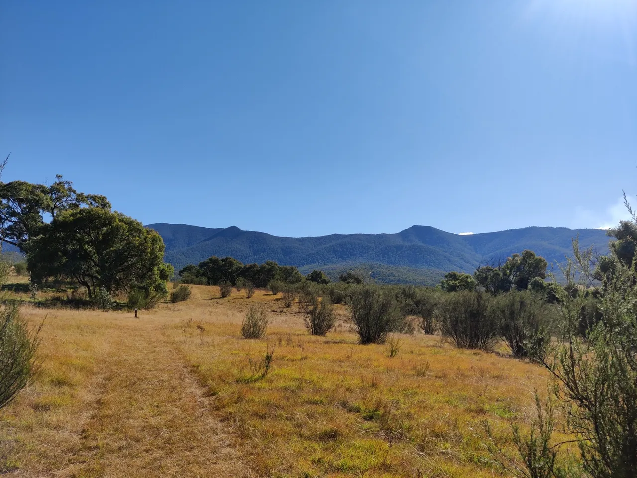 Birrigai Trails: Canberra, AUSTRALIA.jpg