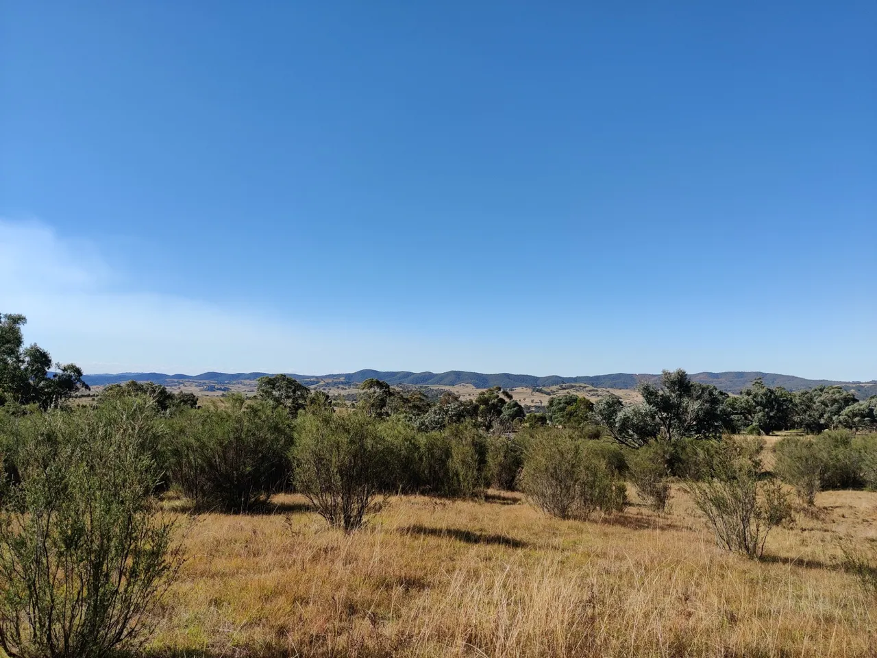 Birrigai Trails: Canberra, AUSTRALIA.jpg