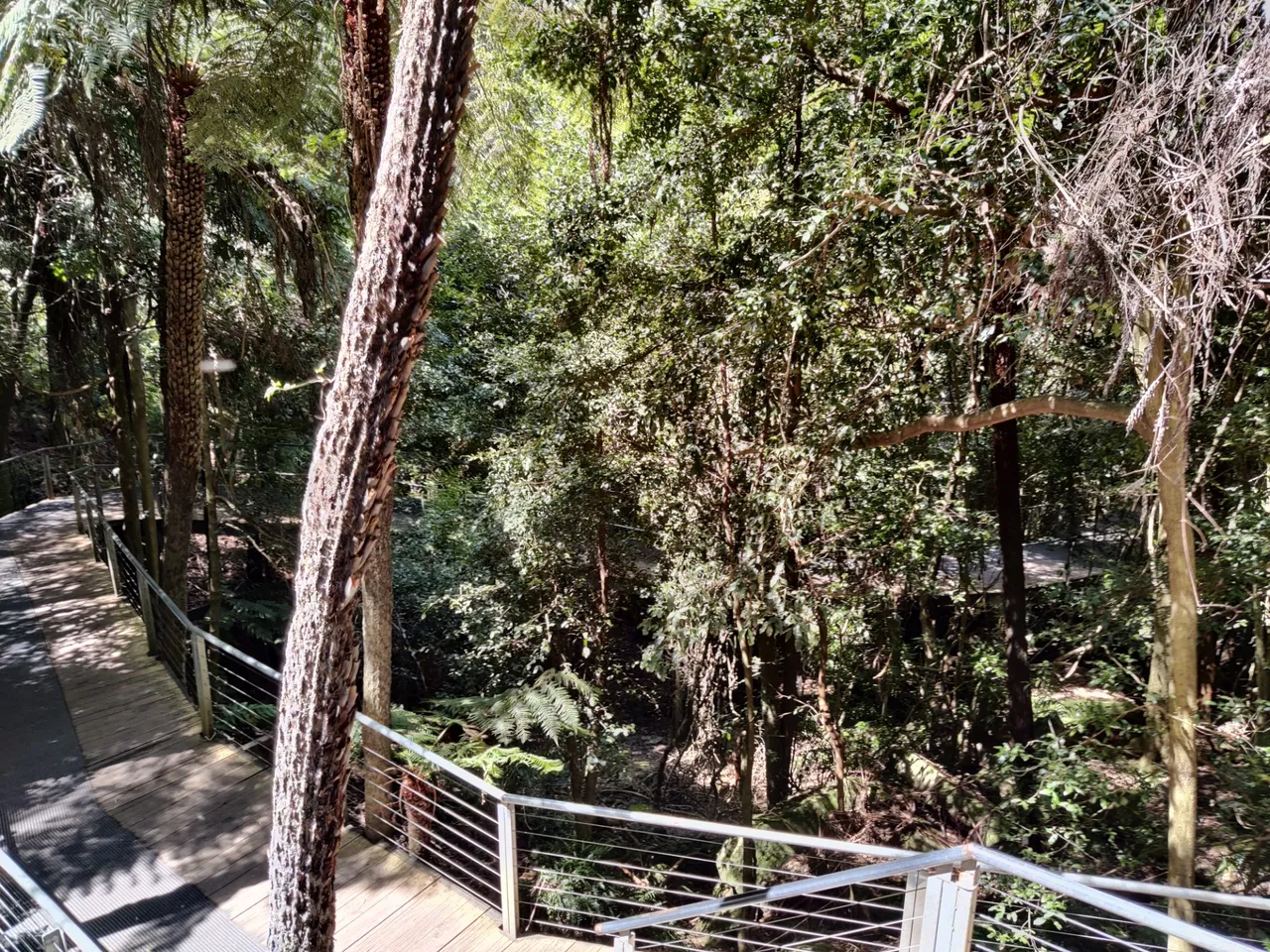 Scenic World: Katoomba, AUSTRALIA.jpg