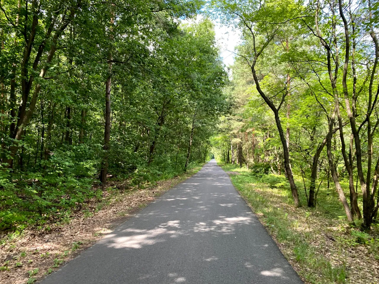 Love cycling in Germany