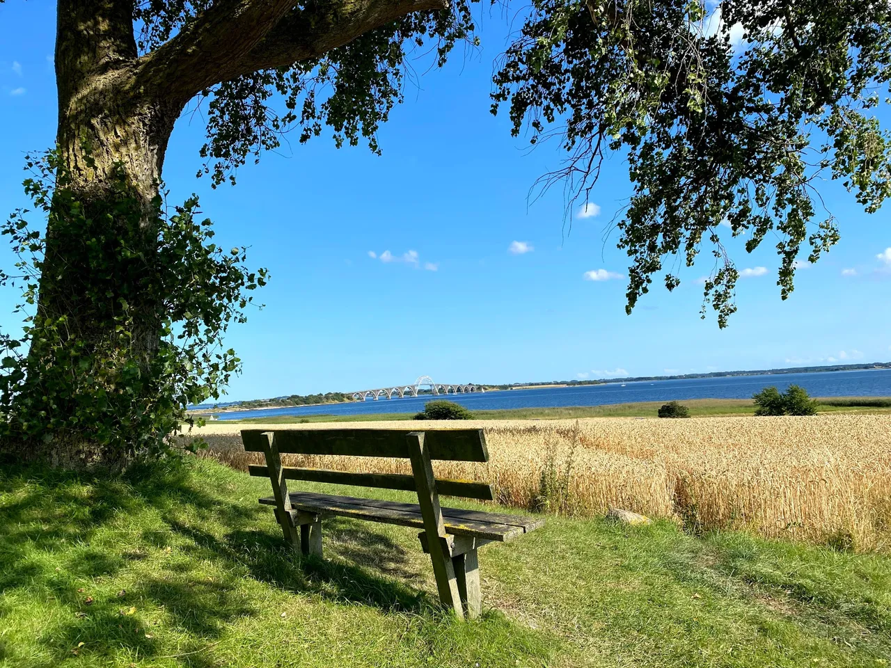 Meditation bench