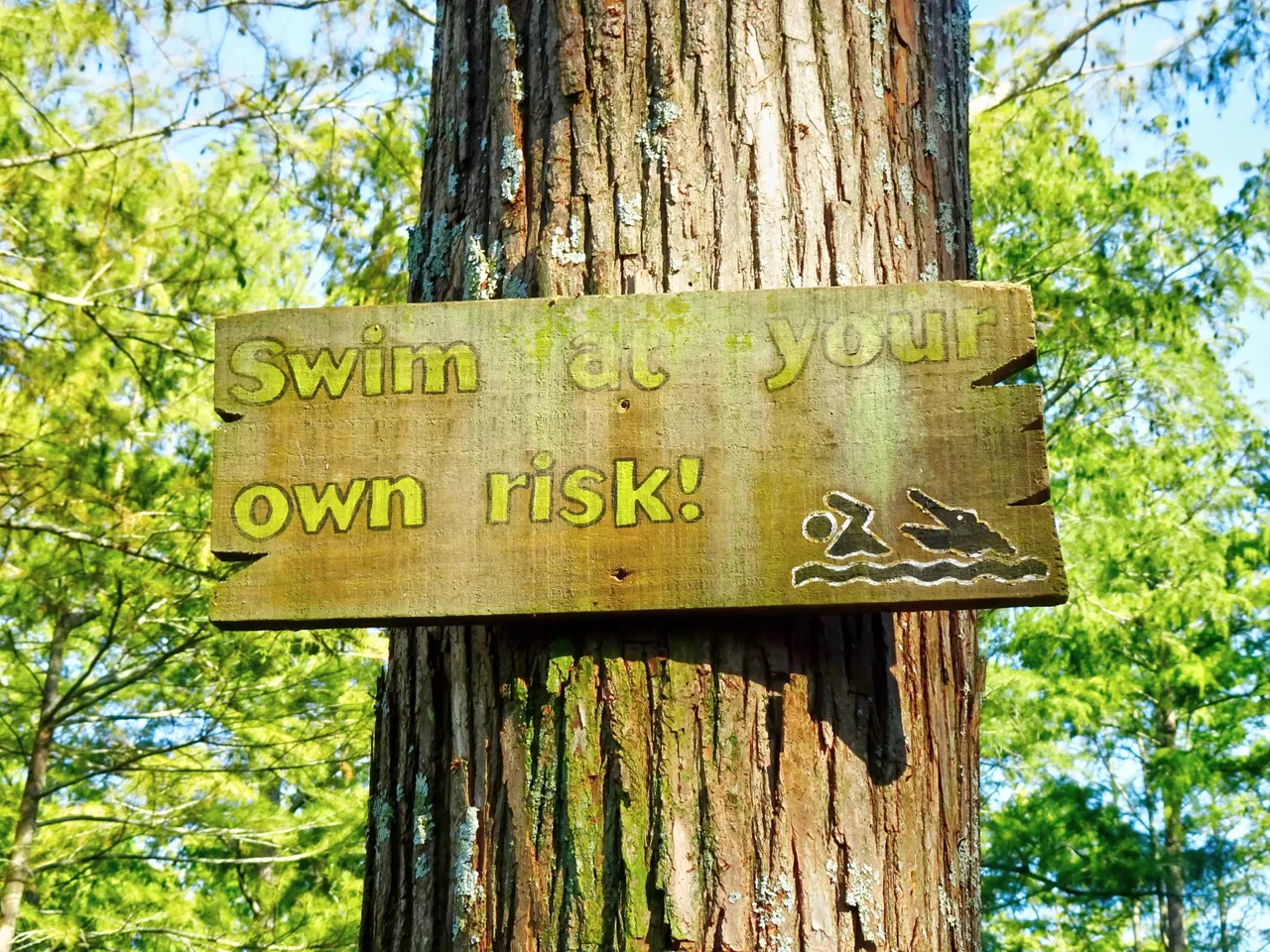 But you shouldn’t swim