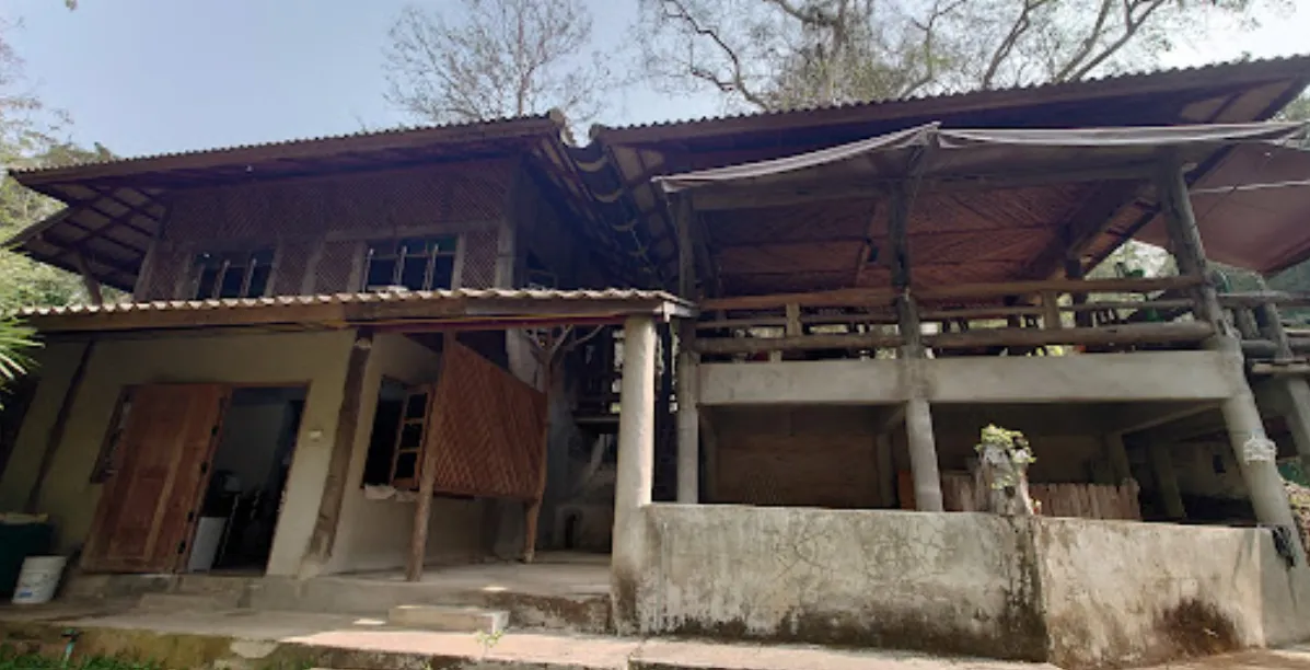 The Café itself was more a normal style building but definitely had a tree house feel inside.