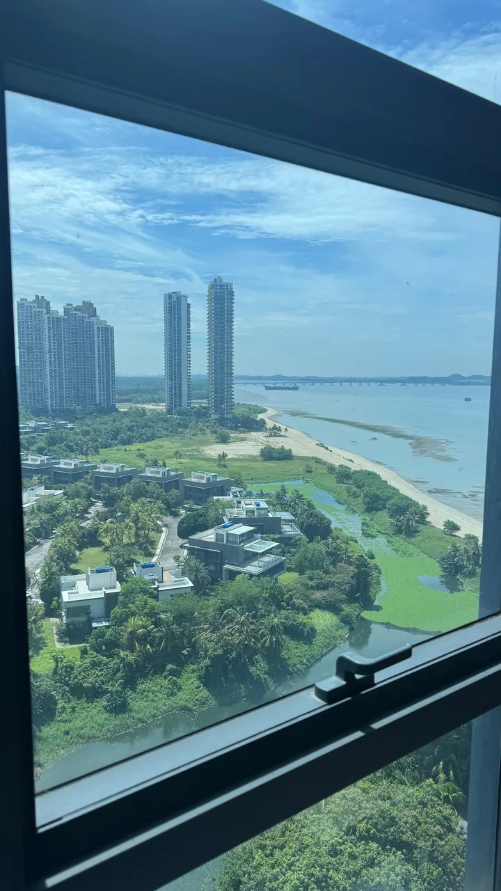 Forest City View