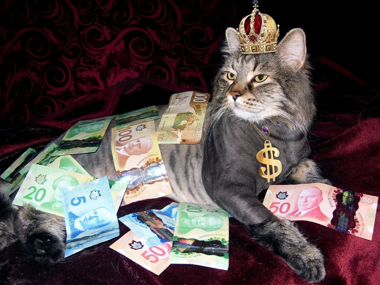 Anleitung. Howto - 1 Millionen US Dollar mit Steemit