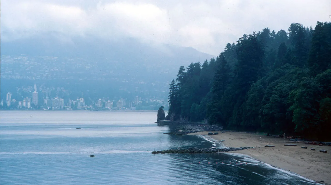 Stanley Park in the Rain